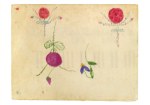 Klee Paul; Ohne Titel (Vier Blumen) , ca. 1889