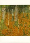 Klimt Gustav; Birkenwald , 1903