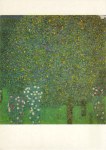 Klimt Gustav; Rosen unter Bäumen , um 1905