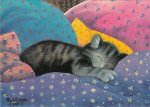 Koblinger Renate; Sleeping Cat