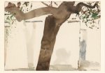 Koller Oskar; Baum vor Mauer