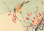 Koson Ohara; Songbird on Blossom Branch , c. 1900-1936