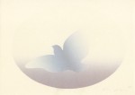 Kozo; Geburt , 1978