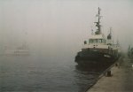 Krausz Tom; Nebel