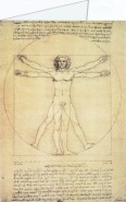 Leonardo da Vinci; Der vitruvianische Mensch , 1490