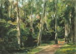Liebermann Max; Parkweg (Die Birkenallee im Wannseegarten nach Südwesten) , 1924