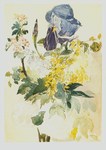 Manet Édouard; Blumenstück mit Goldregen