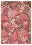 Morris William; Cray , 1884/85
