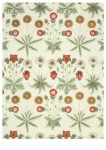Morris William; Daisy , 1864
