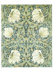 Morris William; Pimpernelle , 1876