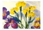 Nolde Emil; Gelbe und violette Schwertlilien