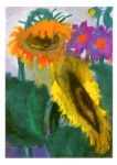 Nolde Emil; Reife Sonnenblumen