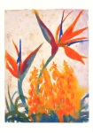 Nolde Emil; Strelitzien