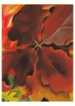 O'Keeffe Georgia; Eichenblätter