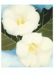 O'Keeffe Georgia; Winden, grüne Blätter und blauer Himmel , 1938