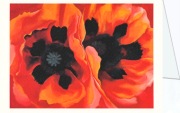 O'Keeffe Georgia; Mohnblumen , 1927