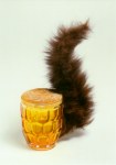Oppenheim Meret; Eichhörnchen , 1969