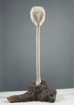 Oppenheim Meret; Maskierte Blume , 1958