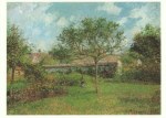 Pissarro Camille; Wiese in Eragny , 1902