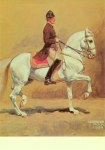 Pock Alexander; Piaffe , Spanische Hofreitschule, Wien