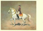 Pock Alexander; Piaffe , Spanische Hofreitschule, Wien