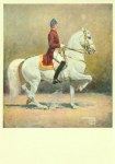 Pock Alexander; Piaffe , Spanische Hofreitschule, Wien