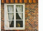 Radziwill Franz; Das Fenster meines Nachbarn
