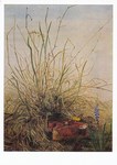 Radziwill Franz; Rasenstück