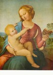 Raphael (Raffaele Santi); Madonna di Casa Colonna