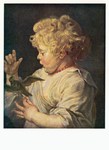 Rubens Peter Paul; Knabe mit Zeisig