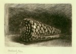 Rembrandt Harmensz. van Rijn; Die Muschel , 1650