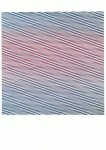 Riley Bridget; Cataract 3 , 1967