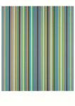 Riley Bridget; Shade , 1981
