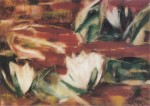 Rohlfs Christian; Wasserrosen , 1923