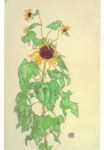 Schiele Egon; Sonnenblume , 1916