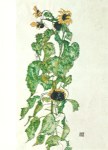 Schiele Egon; Sonnenblumen , 1917