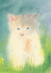 Schmidt Dorothea; Kleine Katze