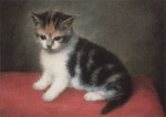 Stubbs George; Fräulein Ann Whites' Kätzchen , 1790