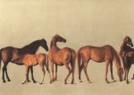Stubbs George; Stuten und Fohlen , 1762