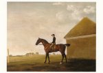 Stubbs George; Turf in Newmarket, mit Jockey im Sattel , c. 1765