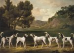 Stubbs George; Fünf Jagdhunde von Lord Rockingham , 1762