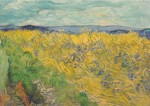 Gogh Vincent van - van Gogh; Feld mit Kornblumen , 1890