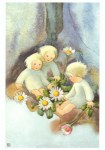 Weber Mili; Gänseblümchen