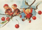 Weber Mili; Kirschenkinder