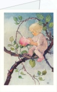 Weber Mili; Rosenmärchen