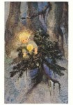 Weber Mili; Weihnachtslicht